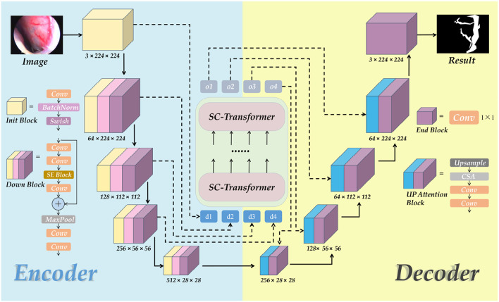 ETU-Net architecture